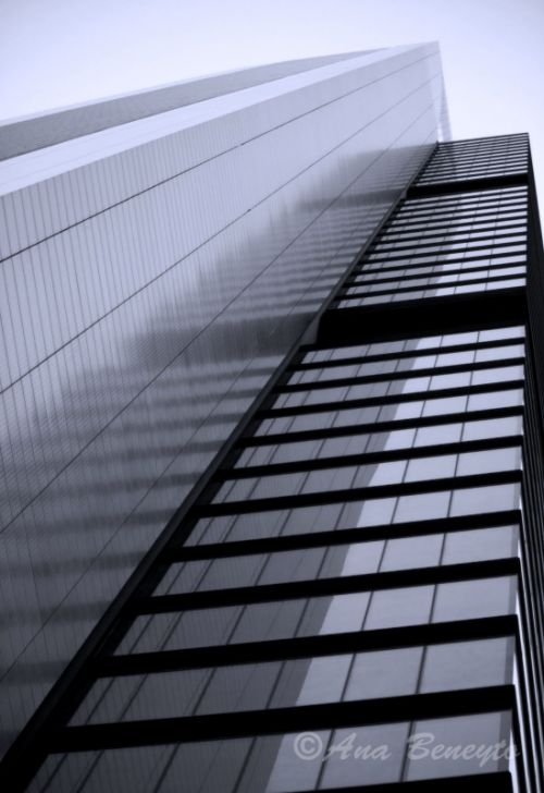 Fotografia de Ana Beneyto - Galeria Fotografica: Ana Beneyto - Foto: 