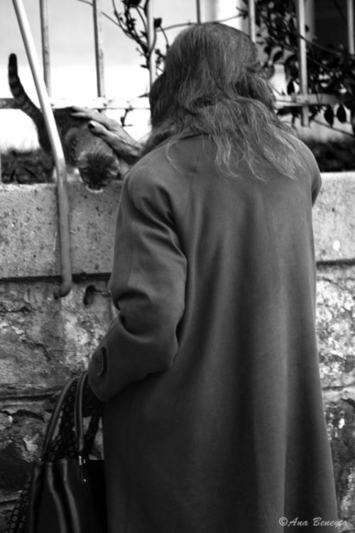 Fotografia de Ana Beneyto - Galeria Fotografica: Ana Beneyto - Foto: 