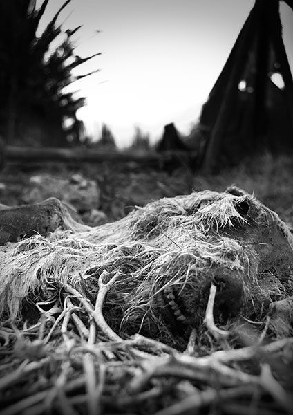 Fotografia de J.Henrquez - Galeria Fotografica: Miscelanea - Foto: NaturalezamuertaII