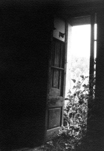 Fotografia de Sandra Karro - Galeria Fotografica: Naturaleza - Foto: Abandono