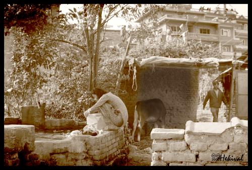 Fotografia de Hekival - Galeria Fotografica: Viajes - Foto: 