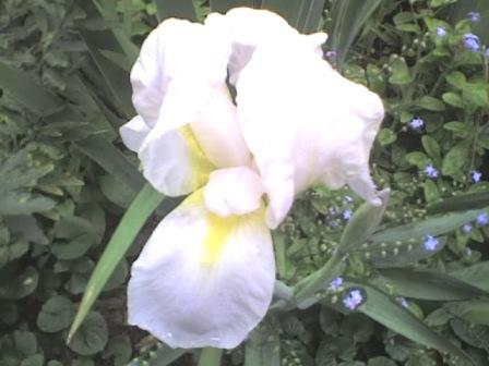 Fotografia de MATEO - Galeria Fotografica: URBANO - Foto: ORQUIDEA