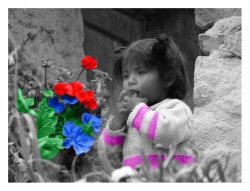 Fotografia de Miguel Angel - Galeria Fotografica: Miguel Angel Chavez - Foto: Wawita