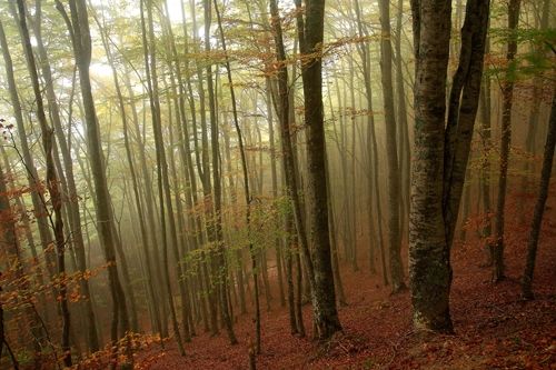 Fotografia de Feruse - Galeria Fotografica: Paisajes - Foto: 