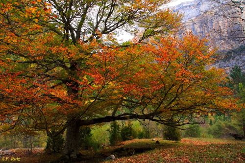 Fotografia de Feruse - Galeria Fotografica: Paisajes - Foto: 