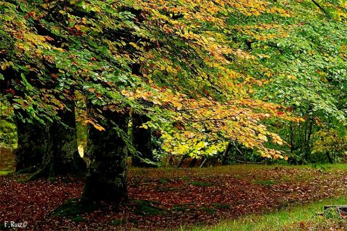 Fotografia de Feruse - Galeria Fotografica: Paisajes - Foto: 