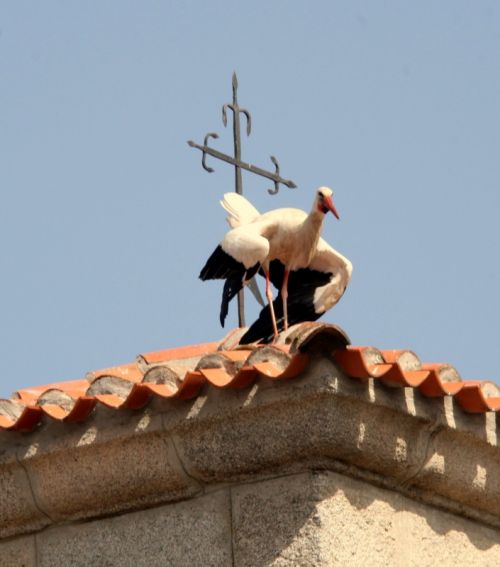 Fotografia de Chany46 - Galeria Fotografica: FOTOSSG - Foto: 