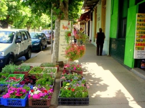 Fotografia de Lagreca - Galeria Fotografica: Walking Around - Foto: 5