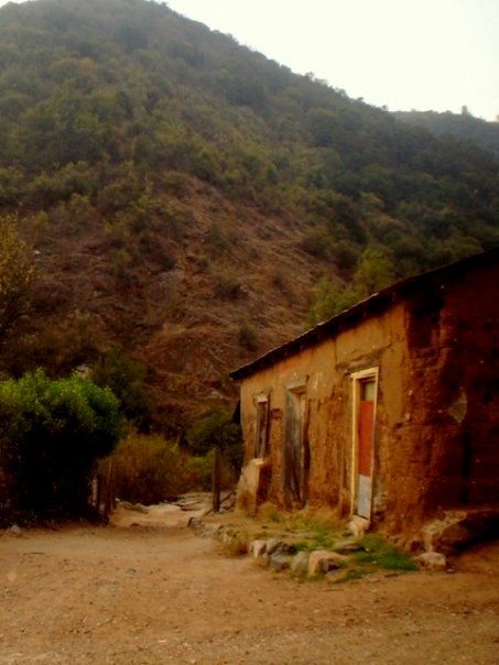 Fotografia de Lagreca - Galeria Fotografica: Walking Around - Foto: 10