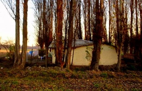 Fotografia de Lagreca - Galeria Fotografica: Walking Around - Foto: 20