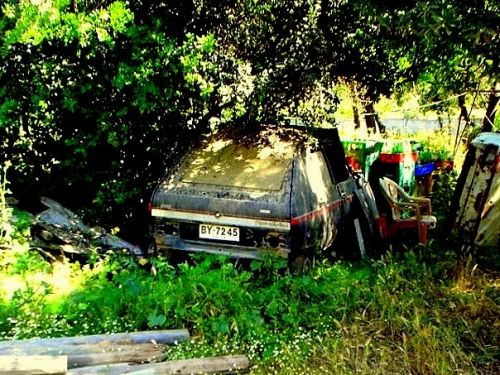 Fotografia de Lagreca - Galeria Fotografica: Walking Around - Foto: 