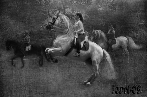 Fotografia de jopri - Galeria Fotografica: retoques - Foto: 