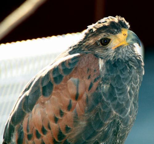 Fotografia de Chany46 - Galeria Fotografica: FOTOSSG - Foto: 