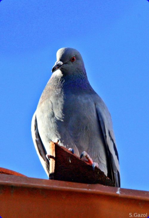Fotografia de Chany46 - Galeria Fotografica: FOTOSSG - Foto: 