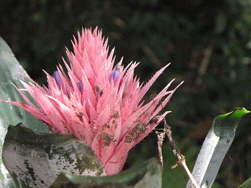 Fotografia de EL TALLER GRAFICO DE FABIAN - Galeria Fotografica: VARIAS - Foto: 