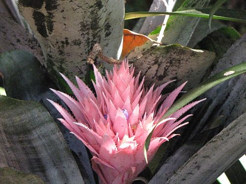 Fotografia de EL TALLER GRAFICO DE FABIAN - Galeria Fotografica: VARIAS - Foto: 