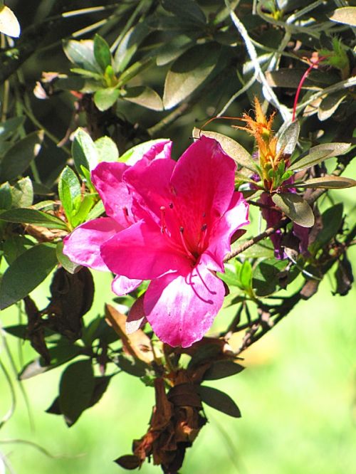 Fotografia de EL TALLER GRAFICO DE FABIAN - Galeria Fotografica: VARIAS - Foto: 