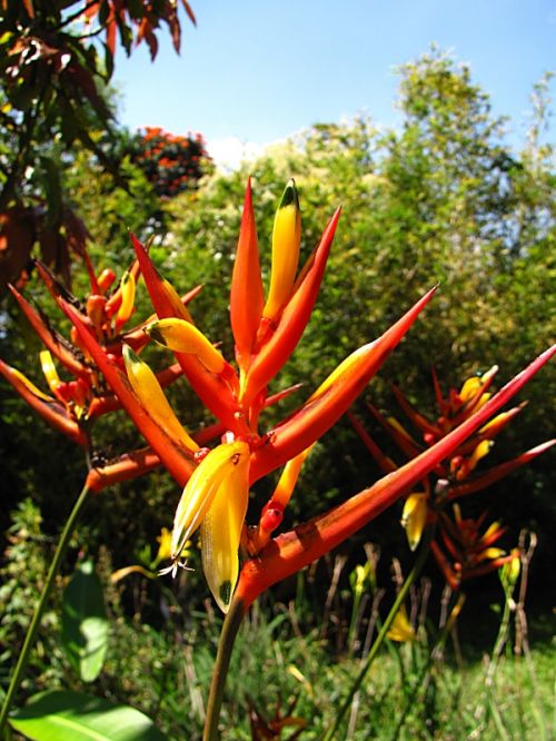 Fotografia de EL TALLER GRAFICO DE FABIAN - Galeria Fotografica: VARIAS - Foto: 