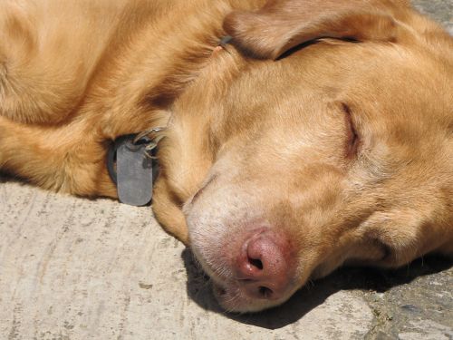 Fotografia de EL TALLER GRAFICO DE FABIAN - Galeria Fotografica: VARIAS - Foto: 