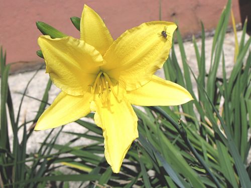 Fotografia de EL TALLER GRAFICO DE FABIAN - Galeria Fotografica: VARIAS - Foto: 