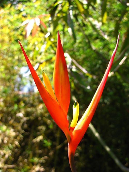 Fotografia de EL TALLER GRAFICO DE FABIAN - Galeria Fotografica: VARIAS - Foto: 