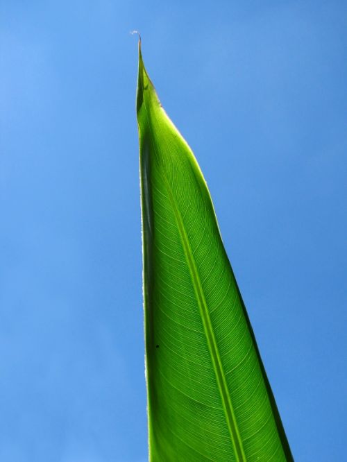 Fotografia de EL TALLER GRAFICO DE FABIAN - Galeria Fotografica: VARIAS - Foto: 