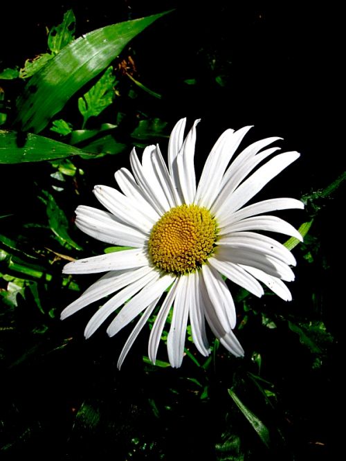 Fotografia de EL TALLER GRAFICO DE FABIAN - Galeria Fotografica: VARIAS - Foto: 