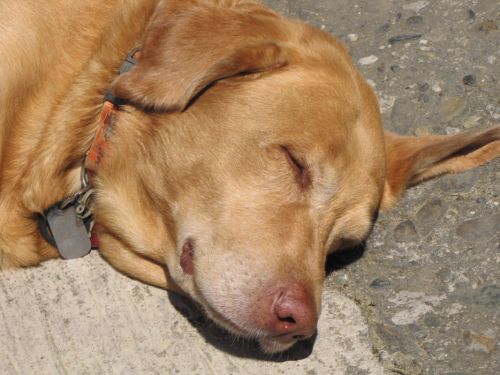 Fotografia de EL TALLER GRAFICO DE FABIAN - Galeria Fotografica: VARIAS - Foto: 