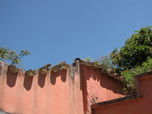 Fotografia de EL TALLER GRAFICO DE FABIAN - Galeria Fotografica: VARIAS - Foto: 