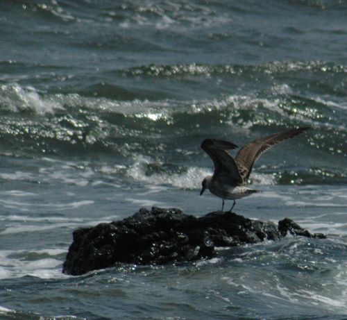 Fotografia de Jos Luis Caada - Galeria Fotografica: Valle de Atxondo - Foto: 
