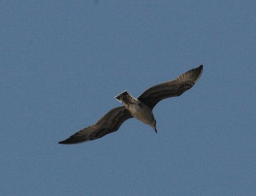 Fotografia de Jos Luis Caada - Galeria Fotografica: Valle de Atxondo - Foto: 