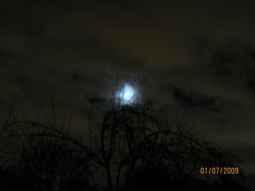 Fotografia de Salgado - Galeria Fotografica: galera - Foto: Lunatica 