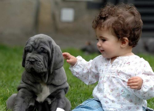 Fotografia de Jean Menor - Galeria Fotografica: Fotgrafo en Tarragona - Foto: 