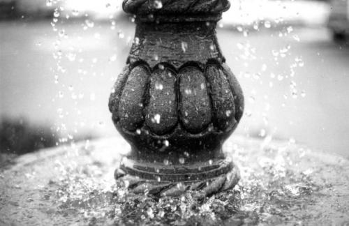 Fotografia de jebus - Galeria Fotografica: serie rollo b/n - Foto: 