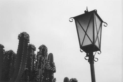 Fotografia de jebus - Galeria Fotografica: serie rollo b/n - Foto: 