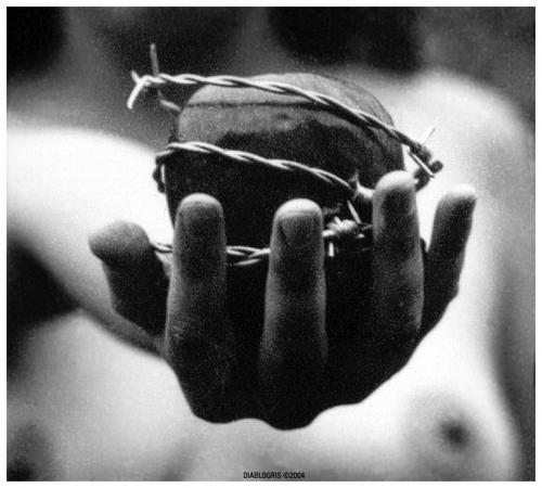 Fotografia de diablogris - Galeria Fotografica: Desnudos - Foto: Fruto del Pecado