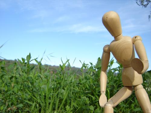 Fotografia de diablogris - Galeria Fotografica: Varias - Foto: Billy at the forest