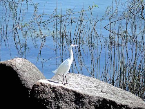 Fotografia de Dito - Galeria Fotografica: mis fotos - Foto: filae