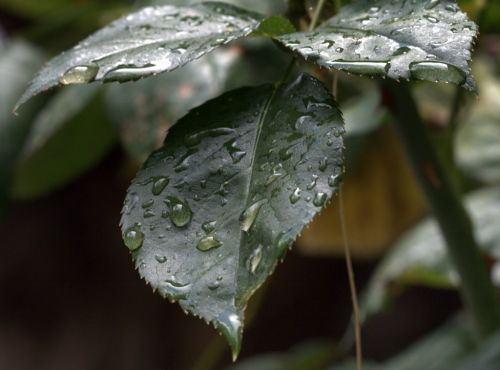 Fotografia de Chany46 - Galeria Fotografica: FOTOSSG - Foto: 
