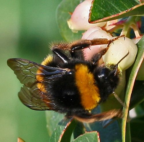 Fotografia de Chany46 - Galeria Fotografica: FOTOSSG - Foto: 