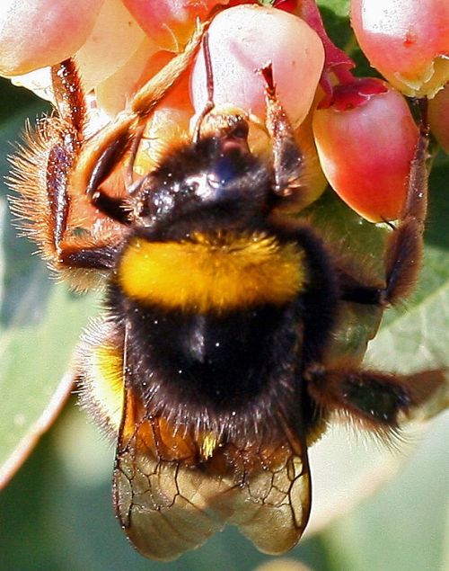 Fotografia de Chany46 - Galeria Fotografica: FOTOSSG - Foto: 