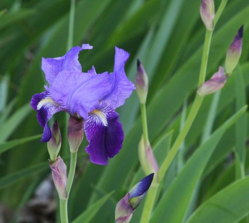 Fotografia de Chany46 - Galeria Fotografica: FOTOSSG - Foto: 