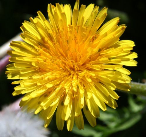 Fotografia de Chany46 - Galeria Fotografica: FOTOSSG - Foto: 