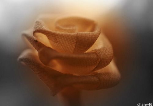 Fotografia de Chany46 - Galeria Fotografica: FOTOSSG - Foto: 