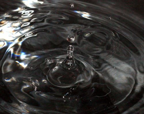 Fotografia de Chany46 - Galeria Fotografica: FOTOSSG - Foto: 