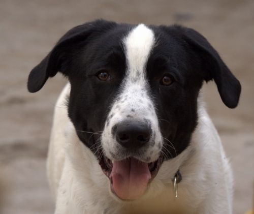 Fotografia de Chany46 - Galeria Fotografica: FOTOSSG - Foto: 