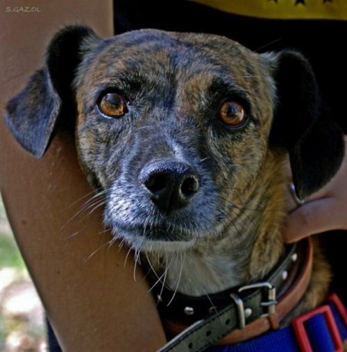 Fotografia de Chany46 - Galeria Fotografica: FOTOSSG - Foto: 