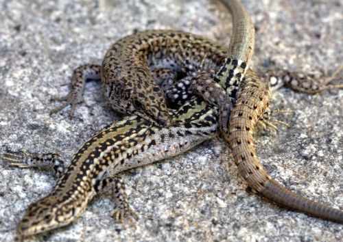 Fotografia de Chany46 - Galeria Fotografica: FOTOSSG - Foto: 