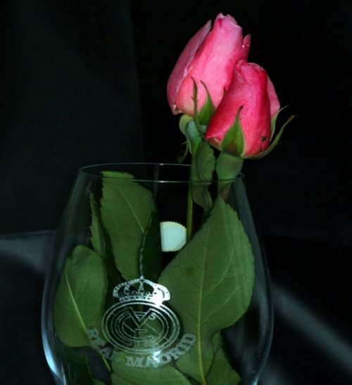 Fotografia de Chany46 - Galeria Fotografica: FOTOSSG - Foto: 