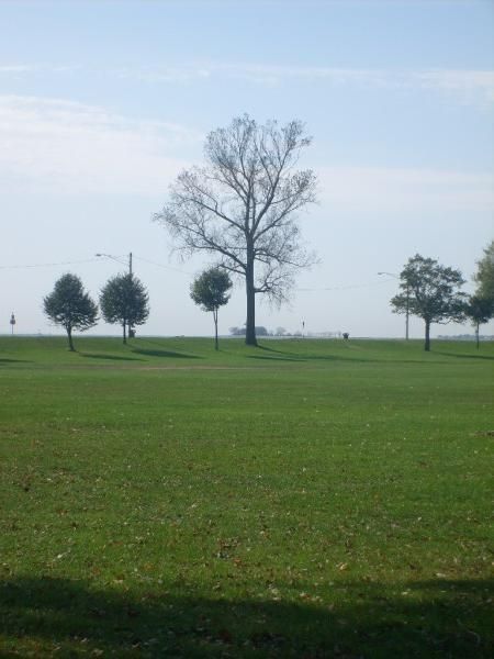 Fotografia de Marisant - Galeria Fotografica: El parque de Seaside Bridgeport Ct. - Foto: 